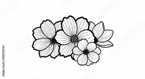 A delicate line drawing of five blooming flowers on a white background