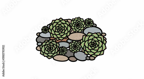 A cluster of green succulent plants nestled among various rounded stones