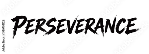 PERSEVERANCE Handwriting