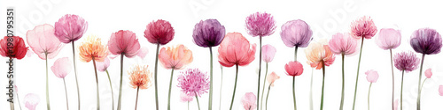 Watercolor flower pastel petal floral border spring meadow pink blossom purple bloom botanical art minimal background horizontal banner delicate stem watercolor floral border with pastel petal
