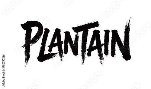 PLANTAIN Handwriting