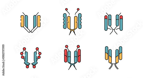 Antibody Line art vector set simple abstract color shapes