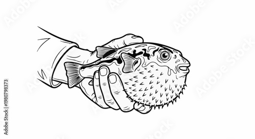 A hand gently holds a spiky pufferfish, its body inflated and mouth open