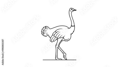 Simple and elegant line drawing of an ostrich standing in profile, captured in a clean minimalist style on white.
