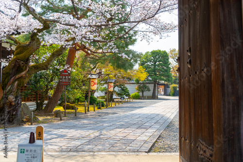 2026年 京都市内の風景