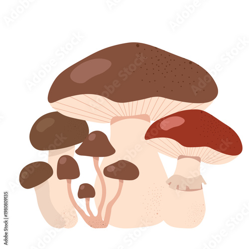Group of different mushrooms arranged together in natural shapes. Forest fungi isolated on light background, representing wild food, autumn harvest, and woodland ecosystem.