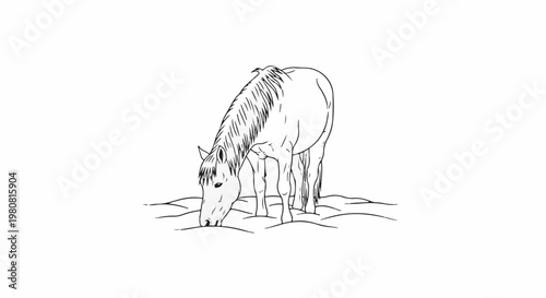 A sketch of a horse with its head down grazing on grass