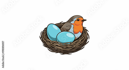 A robin with orange breast sits in a nest with two blue eggs