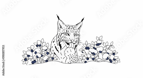 A lynx grooms itself amidst a thicket of blueberry bushes, rendered in black and white