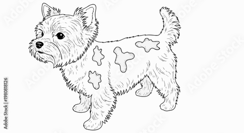 A playful terrier-like dog with irregular grey patches stands