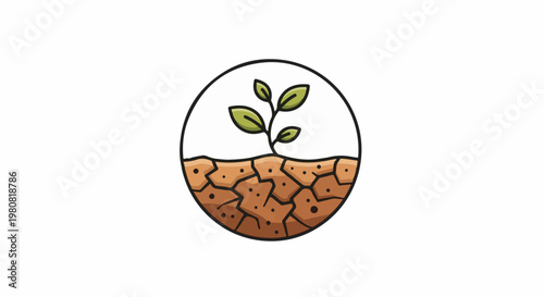 A seedling grows from cracked earth within a circular frame