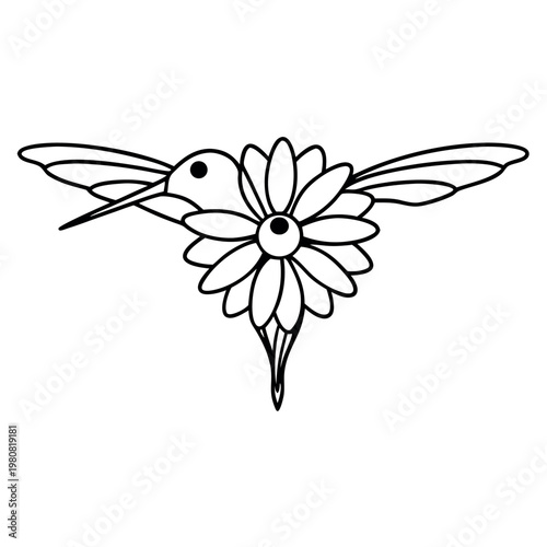 A tiny humming bird drinking nectar line art 