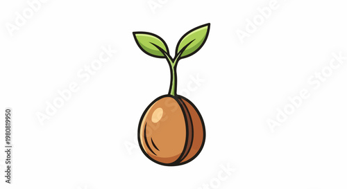 A small brown seed sprouts two green leaves on a white background