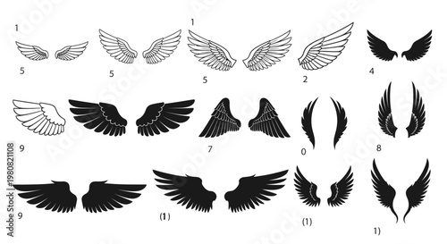 Collection of various stylized and illustrated wing designs, including feathered and angelic styles