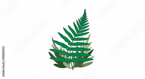 A single vibrant green fern frond with detailed leaves against a white background