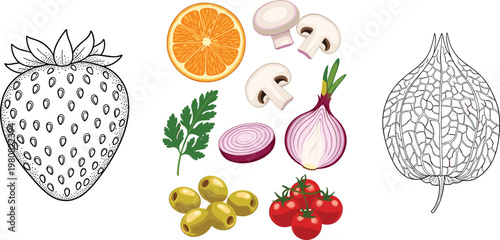Hand Drawn Food Ingredient Illustration Set with Fruits and Vegetables Including Strawberry Orange Onion Mushroom Tomato and Olives for Healthy Cooking Design
