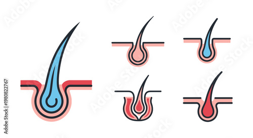 Hair Follicle Line art vector creative abstract