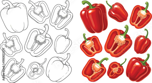 Modern User Interface Dashboard Design with Color Picker Settings Panel and UI Elements for Web Application, Software Development, and Digital Product Design
