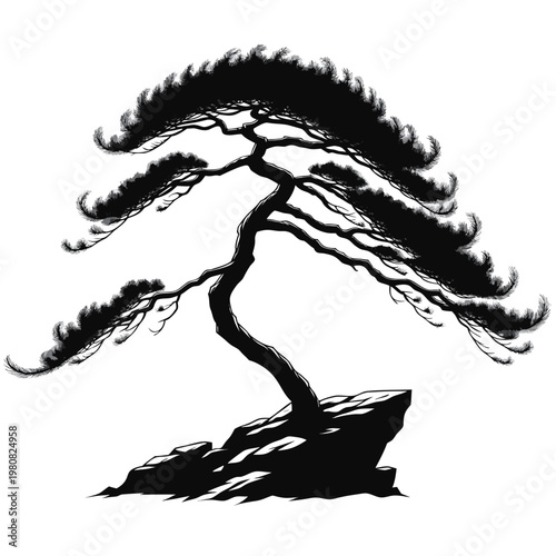 Bonsai tree, black silhouette, pine tree, Japanese garden, tree on rock, minimalist design