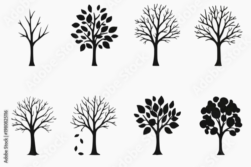 Seasonal Tree Keywords  