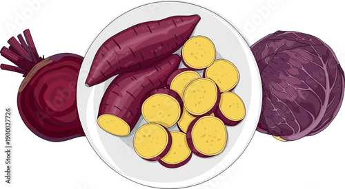 Sweet potatoes slices on plate with beetroot and cabbage fresh root vegetables healthy food vector illustration