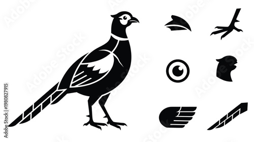 Pheasant bird vector illustration kit featuring pheasant body head with beak eye wing and long bird tail icons isolated white