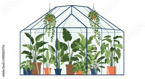 Beautiful glass greenhouse filled with various green tropical plants in pots representing indoor gardening and sustainable botanical cultivation.