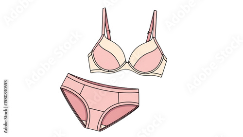 Vector CAD illustration of pink lingerie set on white