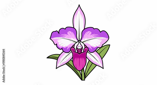 A vibrant, stylized orchid with purple, pink, and white petals