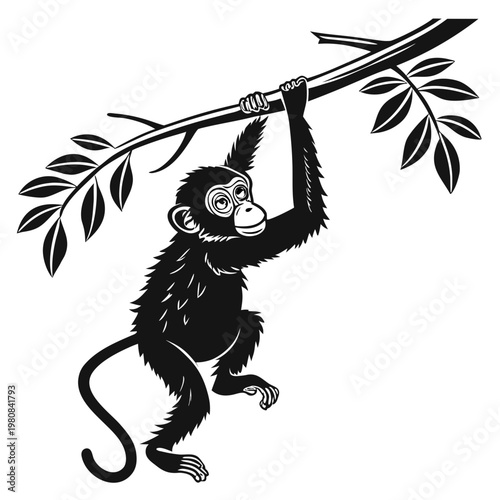 Monkey hanging from tree branch, black and white vector illustration, primate, wildlife, animal icon