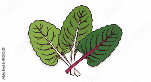 A stylized illustration of three colorful swiss chard leaves on a white background