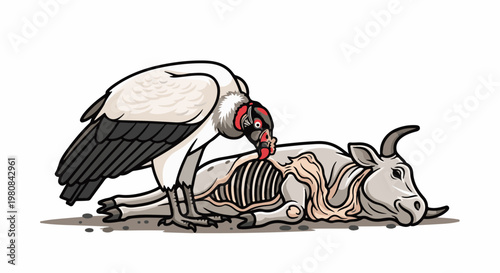 A vulture feeding on a carcass of a pale animal with horns