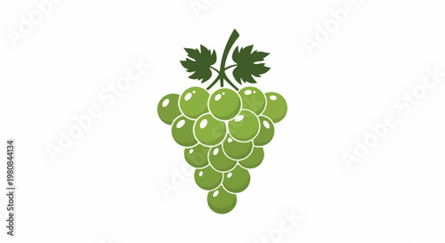 A stylized bunch of green grapes with two leaves on a white background