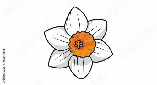 A white narcissus flower with an orange center and black outlines