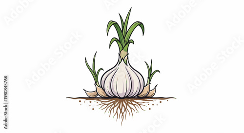 A stylized illustration of a white garlic bulb with green sprouts and roots in soil