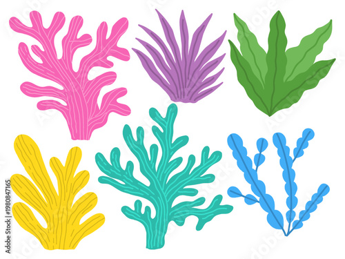 Set of colorful hand drawn sea coral and seaweed isolated on white background. Marine life vector illustration set, organic coral reef elements for summer designs