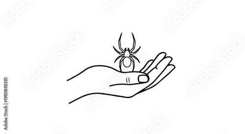 A stylized black and white outline of a spider perched on an open hand
