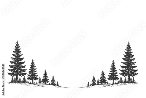 Arching pine forest frame in vintage woodcut engraving style vector illustration for decorative nature borders and retro outdoor adventure graphics