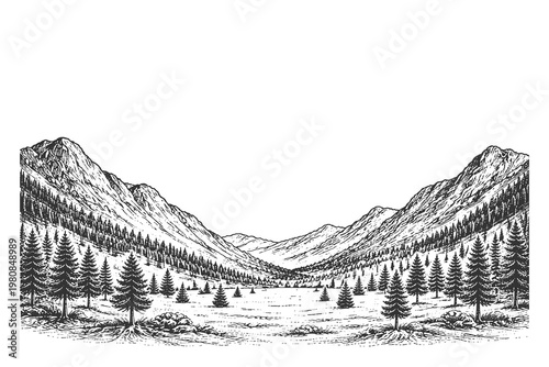 Panoramic mountain valley with pine forest in vintage engraving style vector illustration for horizontal banner headers and retro wilderness landscape