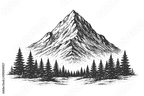 Simple mountain peak silhouette with pine forest foreground in vintage woodcut style vector illustration for minimal nature logo and adventure branding