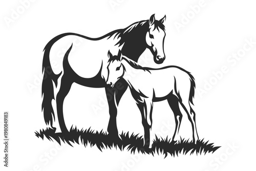 Mare and foal standing on grass in elegant monochrome vector illustration