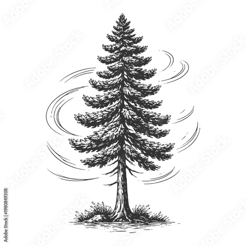 Lone pine tree with swirling wind effect in vintage engraving style vector illustration for winter nature themes and retro outdoor adventure branding