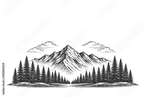 Wide mountain range panorama with pine forest in vintage woodcut style vector illustration for majestic nature headers and retro outdoor adventure designs