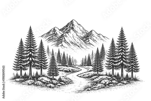 Majestic mountain peak with pine forest and path in vintage engraving style vector illustration for travel posters and retro outdoor adventure designs