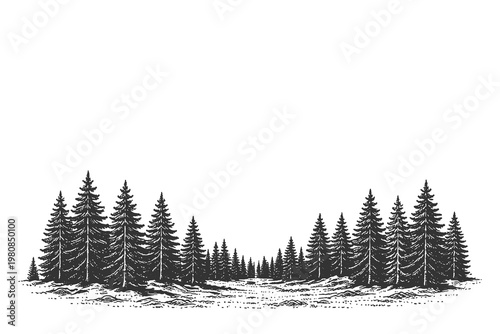 Horizontal pine forest silhouette vector illustration in vintage scratchboard style for banner borders and outdoor adventure landscape design elements