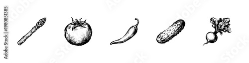 Garden Vegetables and Farm Fresh Produce Ingredients with Hand-Drawn Inky Doodle and Organic Calligraphic Lines