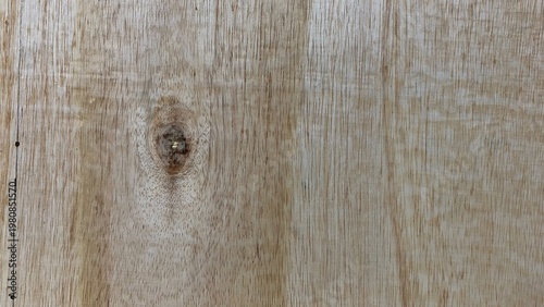 The natural wood texture, with its distinctive grain and knots, creates a warm and rustic feel. It's perfect as a backdrop for interior design, decor, and natural or minimalist concepts.