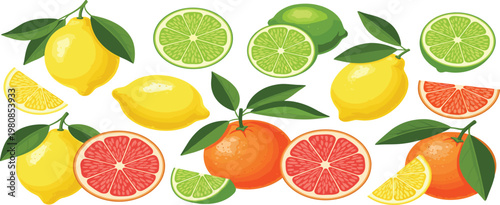 Set of Cartoon Citrus Fruits Including Lemons, Limes, and Grapefruits with Slices and Leaves for Use in Digital Media, Apps, and Illustrations