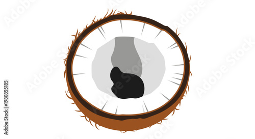 A top-down view of a halved coconut with intricate detailing