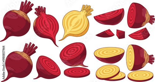 Vector Illustration of Fresh Beets with Cross-Sections and Detailed Slices on a Solid White Background for Commercial Use
